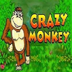 Crazy Monkey Logo