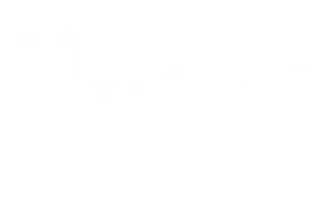 Vbet Logo